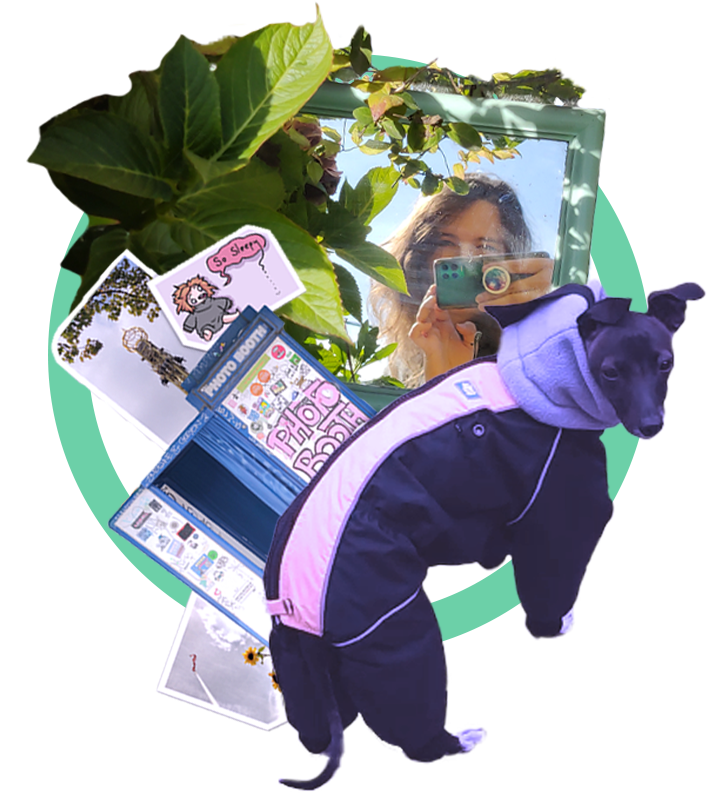 Selected project montage by Lily